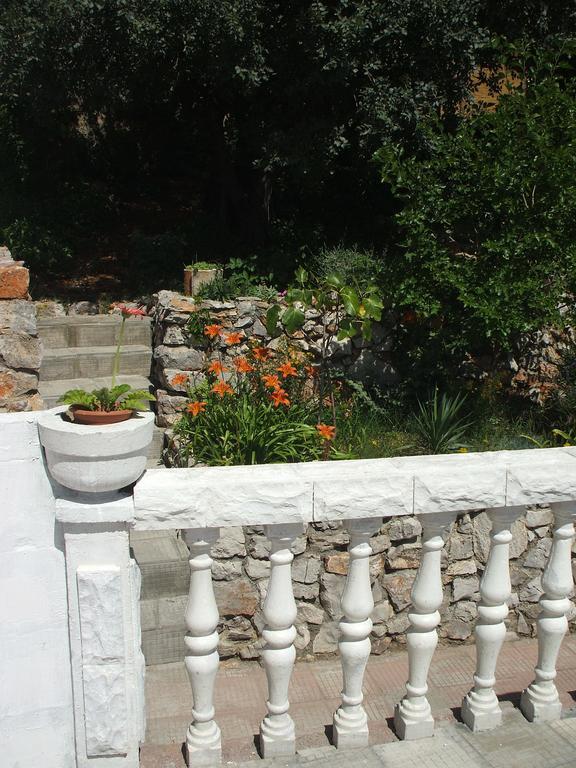 Apartmani Mira سينج المظهر الخارجي الصورة